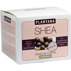 PLANTANA SHEA BUTT GESICHT