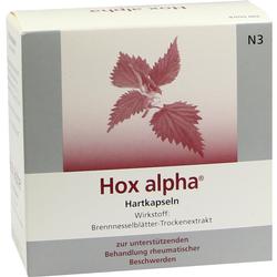 HOX ALPHA