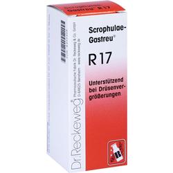 SCROPHULAE GASTREU R17