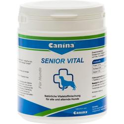 SENIOR VITAL VET