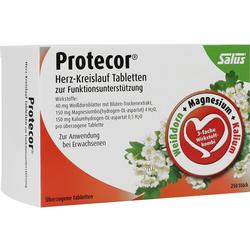 PROTECOR HERZ KREI FUN SAL