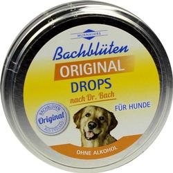 BACHBLUETEN ORIGINAL HUNDE