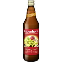 RABENHORST INGWER-MIX BIO