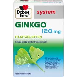 DOPPELHERZ GINKGO 120MG SY