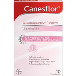 CANESFLOR