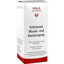 ECHINACEA MUND U RACHENSPR