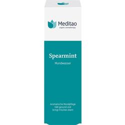 MEDITAO SPEARMINT MUNDWAS